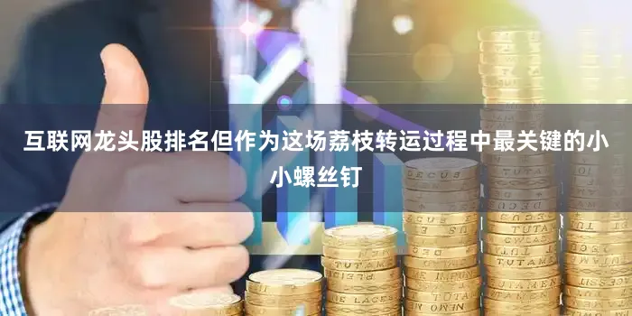 互联网龙头股排名但作为这场荔枝转运过程中最关键的小小螺丝钉