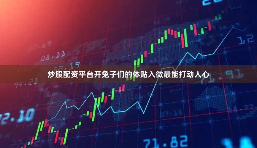 炒股配资平台开兔子们的体贴入微最能打动人心