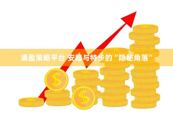 涌盈策略平台 安踏与特步的“隐秘角落”